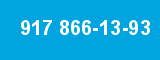 917 866-13-93